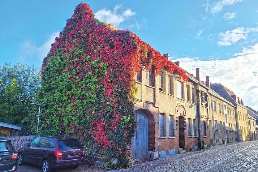 Grundstück zu verkaufen in Coswig 165.000 € 4202 m² zimmer
