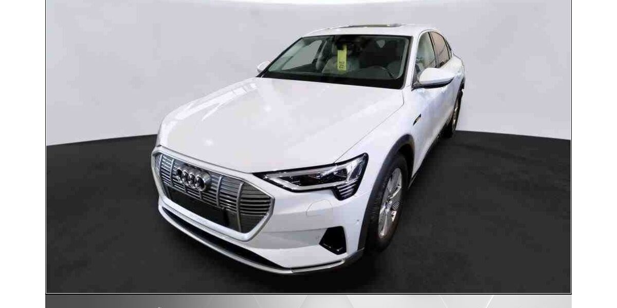 Audi e-tron 88.500 km 33.970 &euro; Helmstedt 38350