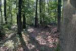 Grundstück Moritzburg / Friedewald Friedewald - 795.000&euro; | Angebot:25667952