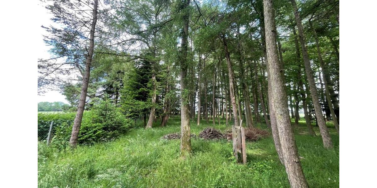 Einfamilienhaus Rieseby - 5 Zimmer, 110 m&sup2;, 245.000&euro; | Angebot:26915313