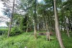 Einfamilienhaus Rieseby - 5 Zimmer, 110 m&sup2;, 245.000&euro; | Angebot:26915313