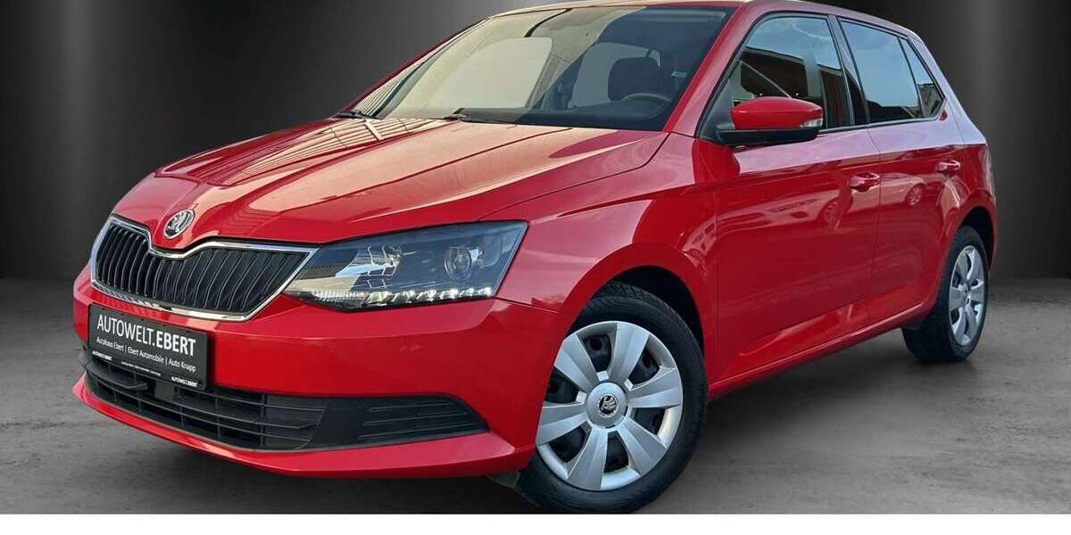 Skoda Fabia 103.700 km 8.690 &euro; Bensheim 64625