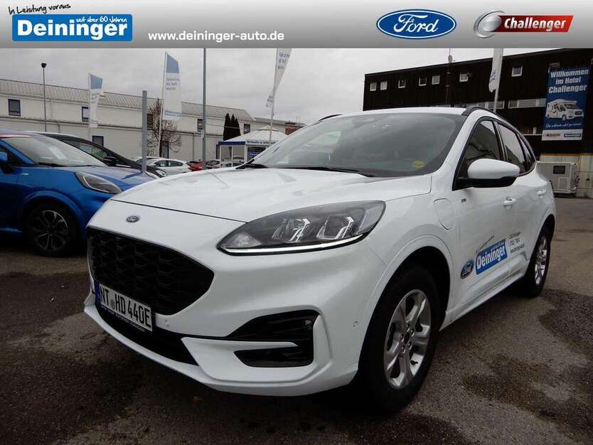 Kuga
