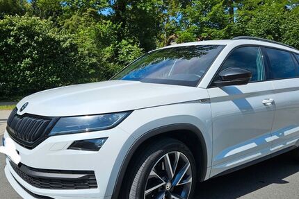 Skoda Kodiaq 168.000 km 21.890 € Worzeldorf/Nürnberg 90455