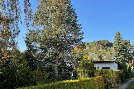 Grundstück Grünheide - 175.000&euro; | Angebot:25751428