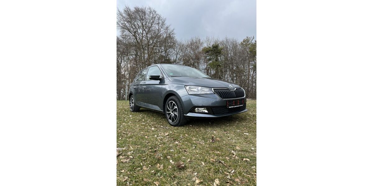 Skoda Fabia 33.722 km 13.900 &euro; Buchheim 88637