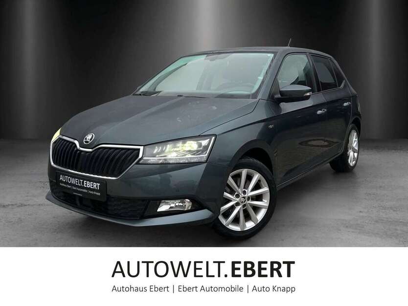 Skoda Fabia 47.500 km 14.890 € Bensheim 64625