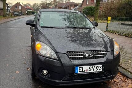 Kia ceed / Ceed 412.000 km 1.000 &euro; Spelle 48480