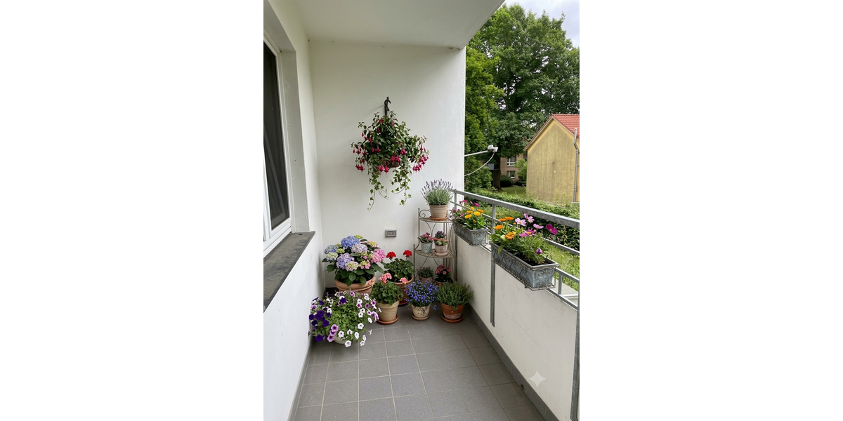 Etagenwohnung Lauenburg/Elbe Elbe - 2 Zimmer, 55 m&sup2;, 99.000&euro; | Angebot:27063768