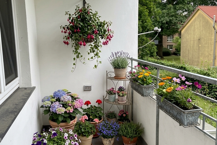 Wohnung Lauenburg/Elbe Elbe - 2 Zimmer, 55 m&sup2;, 99.000&euro; | Angebot:27063768