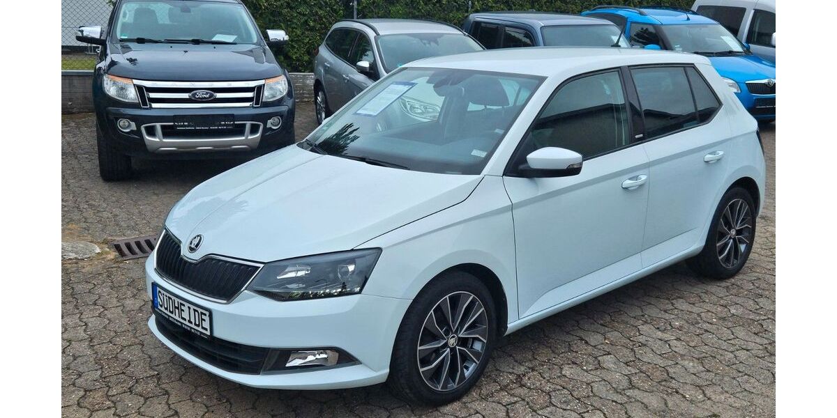 Skoda Fabia 118.000 km 6.999 &euro; Munster 29633