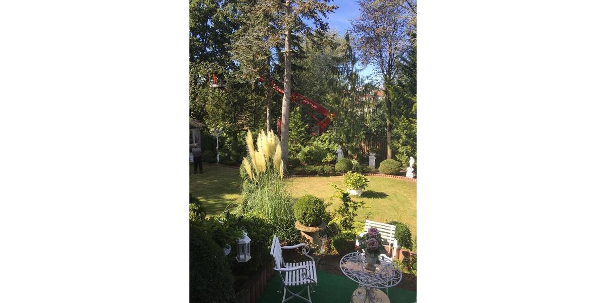 Einfamilienhaus Verden (Aller) - 20 Zimmer, 640 m&sup2;, 630.000&euro; | Angebot:26943900