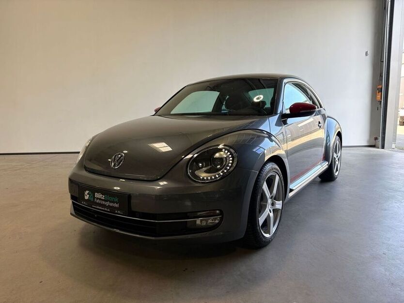 Beetle