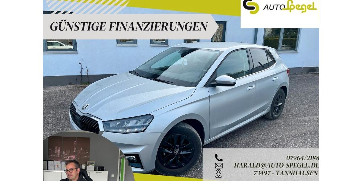 Skoda Fabia 18.508 km 16.390 &euro; Tannhausen 73497