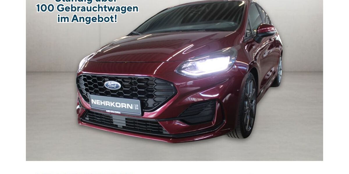 Ford Fiesta 59.100 km 15.490 &euro; Flensburg 24941