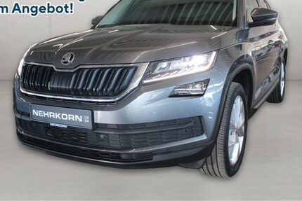 Skoda Kodiaq 100.250 km 24.950 &euro; Flensburg 24941