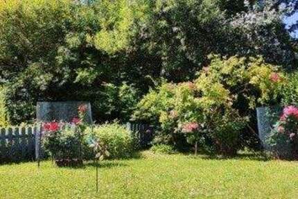 Haus Wiek - 3 Zimmer, 305.000&euro; | Angebot:26343231