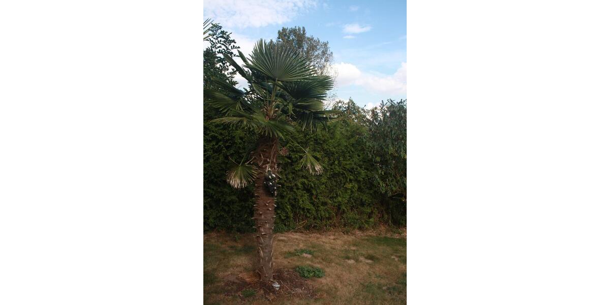 Doppelhaushälfte Marlow - 6 Zimmer, 135 m&sup2;, 412.900&euro; | Angebot:25394774