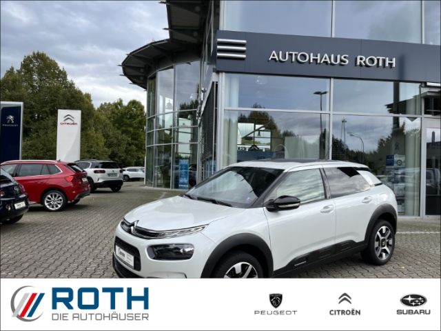 C4 Cactus
