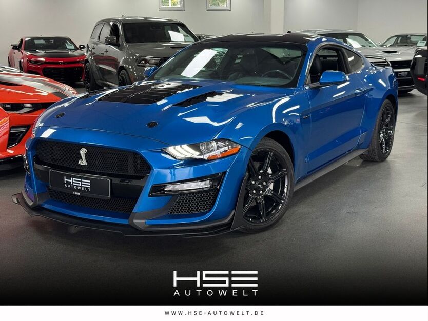 Mustang