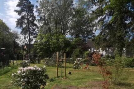 Wohnung Schwarmstedt - 2 Zimmer, 43 m&sup2;, 485&euro; | Angebot:25401786