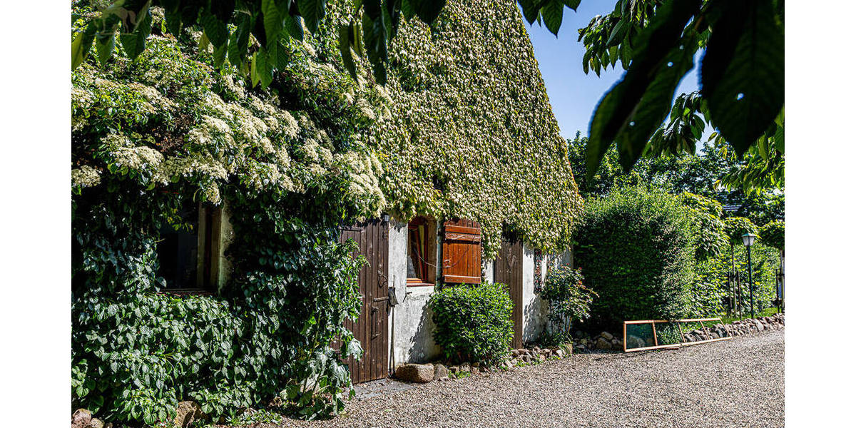 Mehrfamilienhaus, Wohnhaus Biendorf - Sandhagen Panzow - 1.375.000&euro; | Angebot:25730815