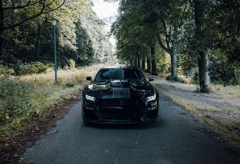Mustang