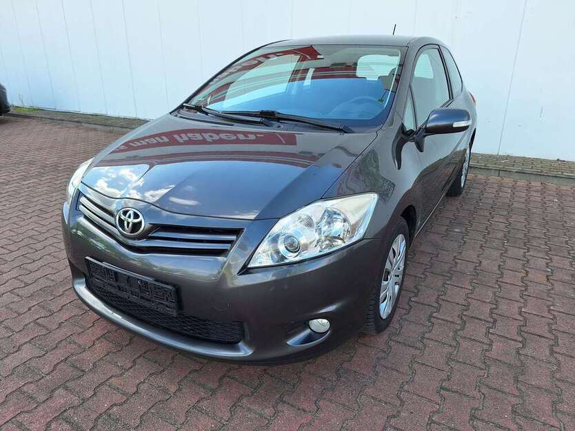 Auris