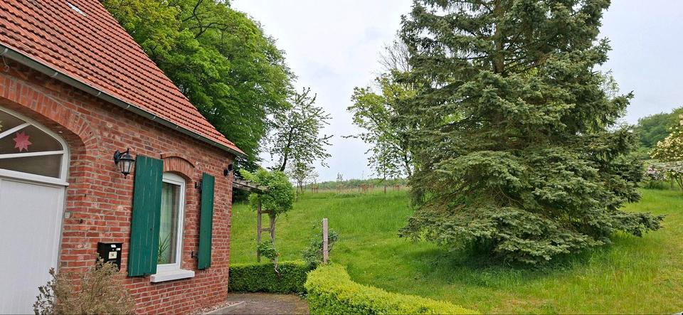 Einfamilienhaus Lübbecke - 4 Zimmer, 95 m&sup2;, 950&euro; | Angebot:26434497