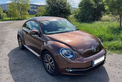 VW Beetle