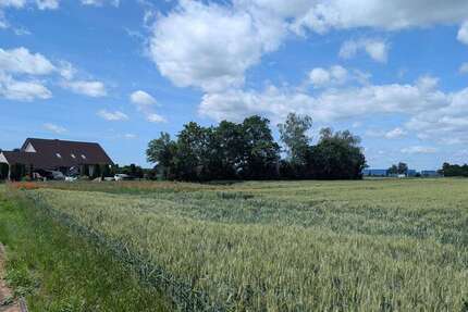 Grundstück Baar-Ebenhausen Ebenhausen - 286.000&euro; | Angebot:25564436