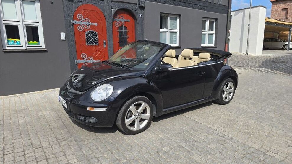 Beetle