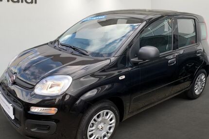 Fiat Panda 1.899 km 13.990 &euro; Wiesloch 69168