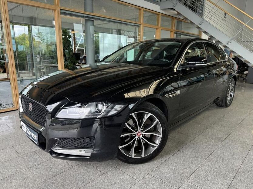 XF