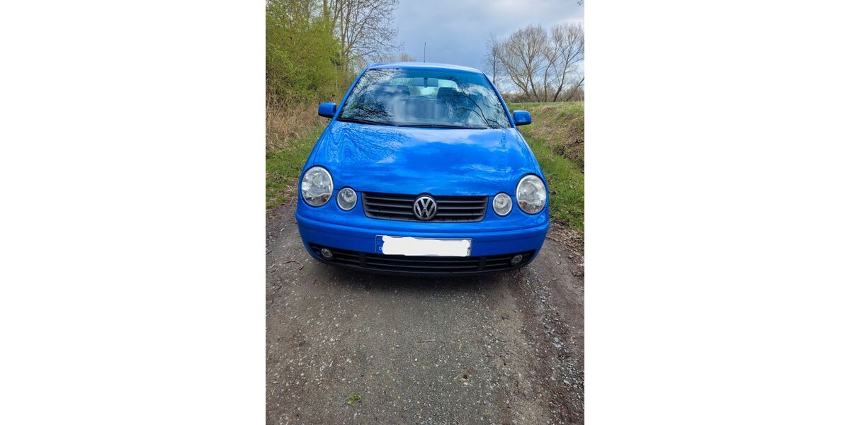 VW Polo 228.300 km 1.498 &euro; Braunschweig 38110
