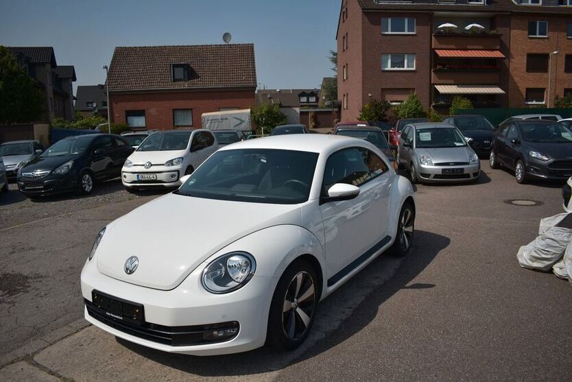 Beetle