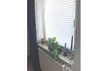 Zimmer Jena Nord - 3 Zimmer, 67 m&sup2;, 800&euro; | Angebot:26259330