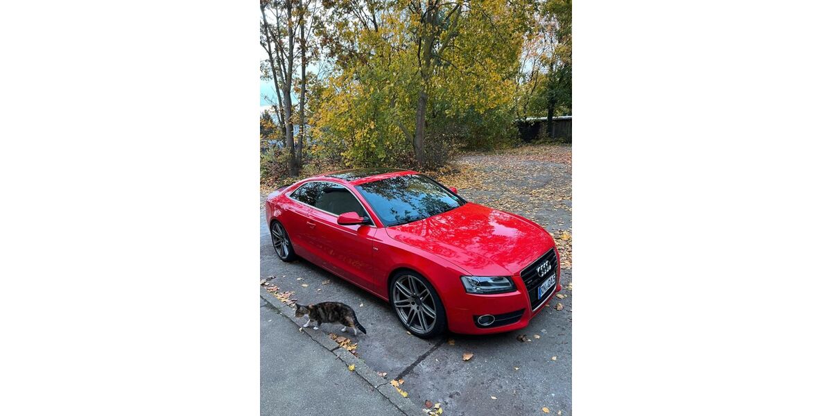 Audi A5 250.000 km 9.499 &euro; Zitz (Rogäsen) 14789