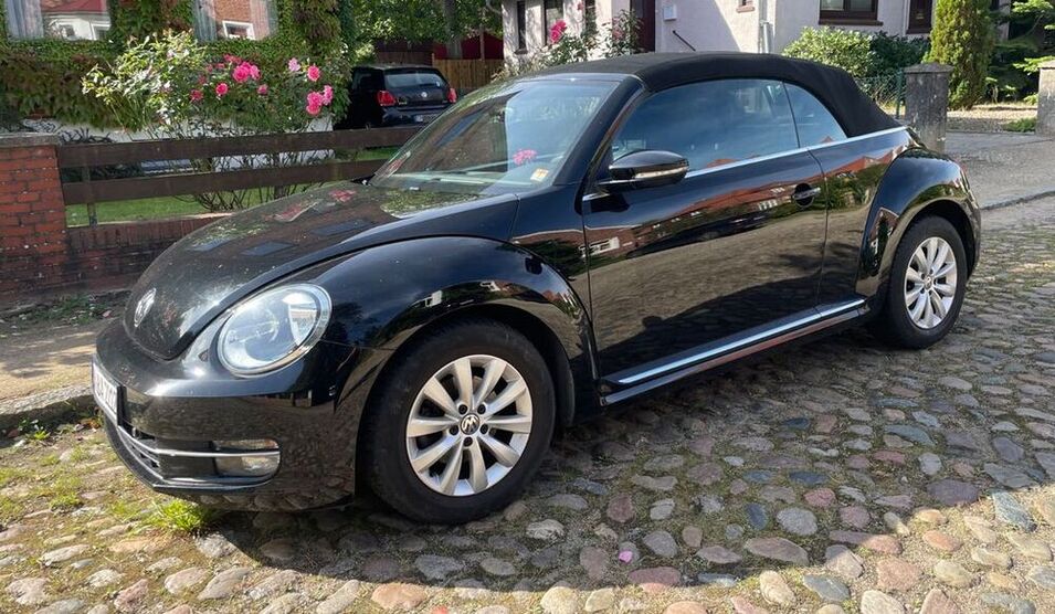 Beetle