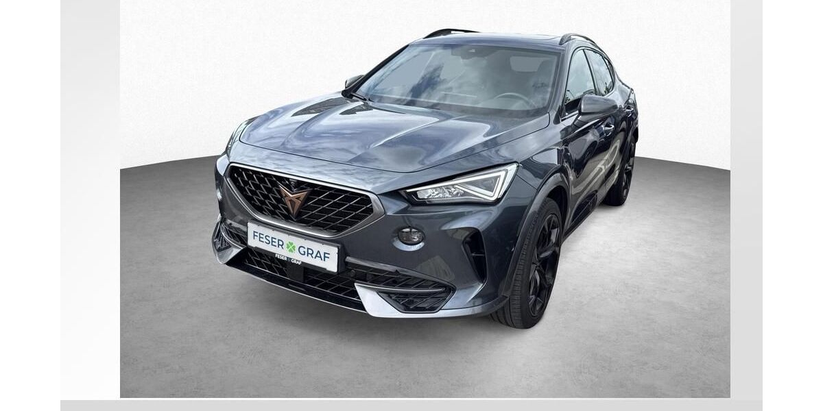 Cupra Formentor 73.600 km 25.890 &euro; Burgoberbach 91595