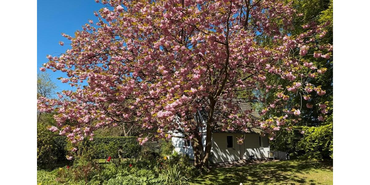 Ferienimmobilie Scharbeutz Wulfsdorf - 65&euro; | Angebot:26705278