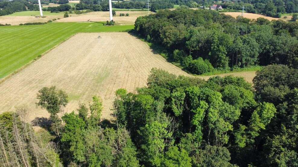 Grundstück in Tecklenburg 720.000 € 139023 m²