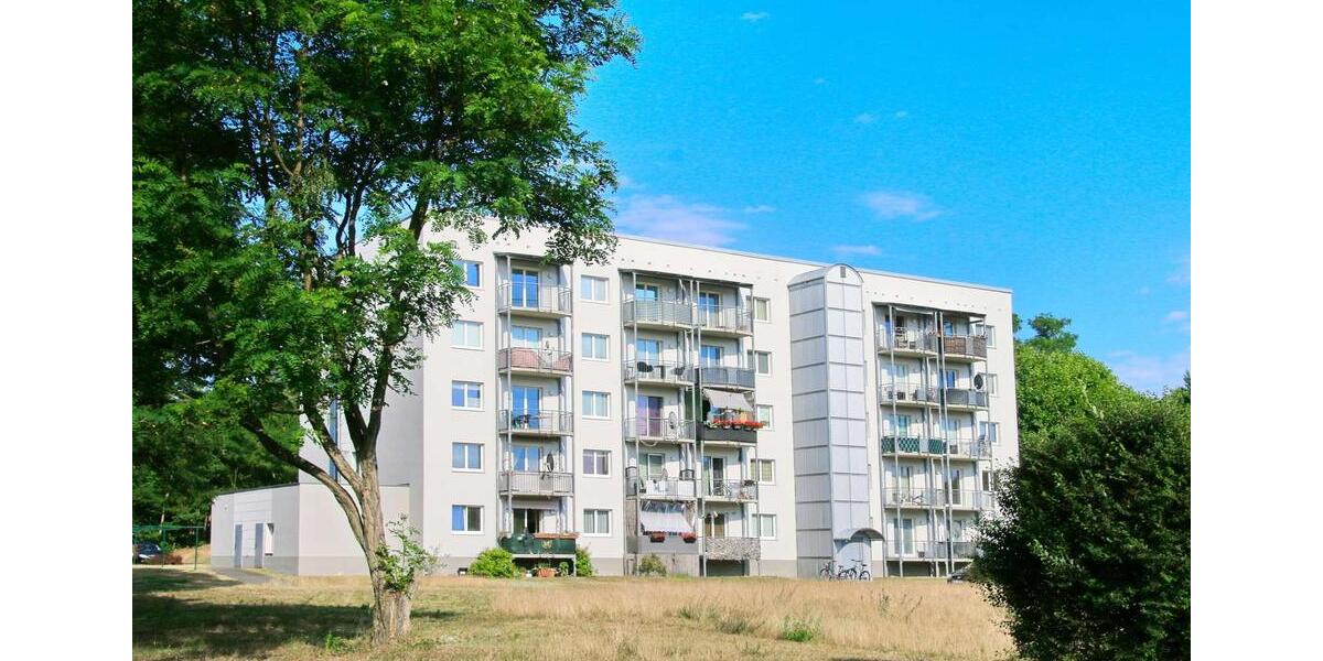 Waldesruh - frisch renovierte 4-Zimmer-Wohnung mit viel Raum zum Wohlfühlen 4 zimmer