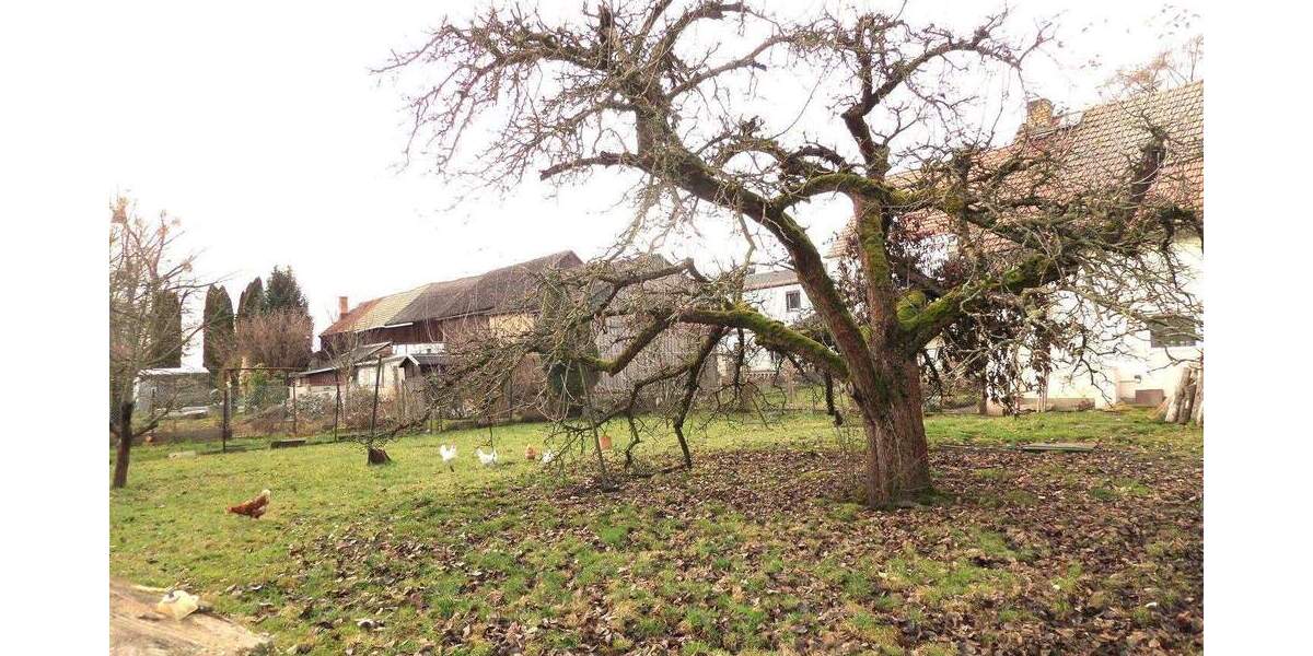 Einfamilienhaus Bernsdorf OT Grabe Großgrabe - 7 Zimmer, 219 m&sup2;, 249.900&euro; | Angebot:25823329
