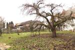 Einfamilienhaus Bernsdorf OT Grabe Großgrabe - 7 Zimmer, 219 m&sup2;, 249.900&euro; | Angebot:25823329