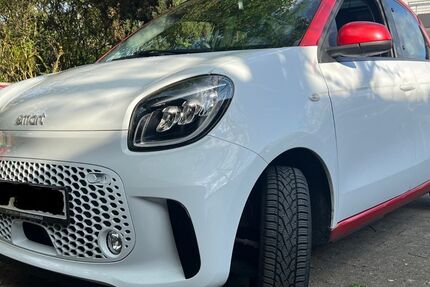 Smart ForFour 50.500 km 8.999 &euro; Hochdorf 73269