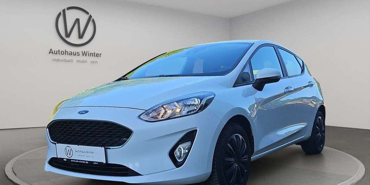 Ford Fiesta 131.500 km 7.499 &euro; Freiberg 09599