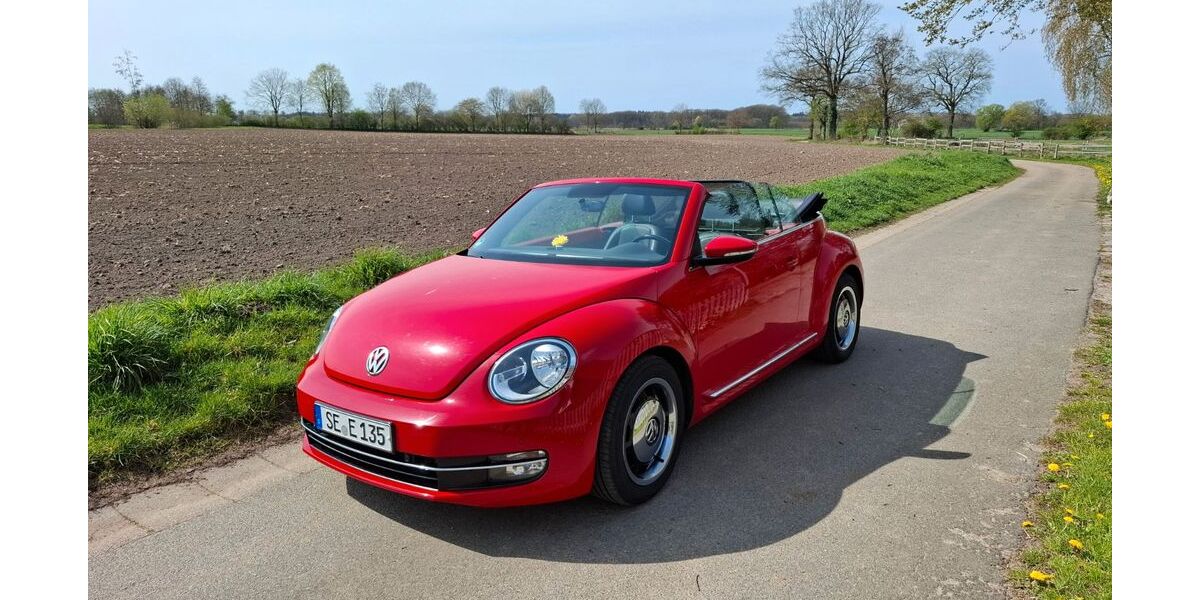 VW Beetle 153.000 km 14.000 &euro; Pronstorf OT Eilsdorf 23820