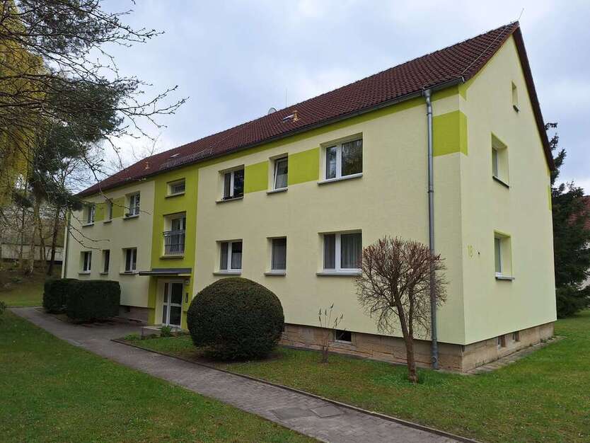 Wohnung zum Mieten in Pirna 250 € 39.9 m²