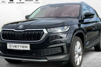 Skoda Kodiaq 103.800 km 30.449 € Pressig 96332